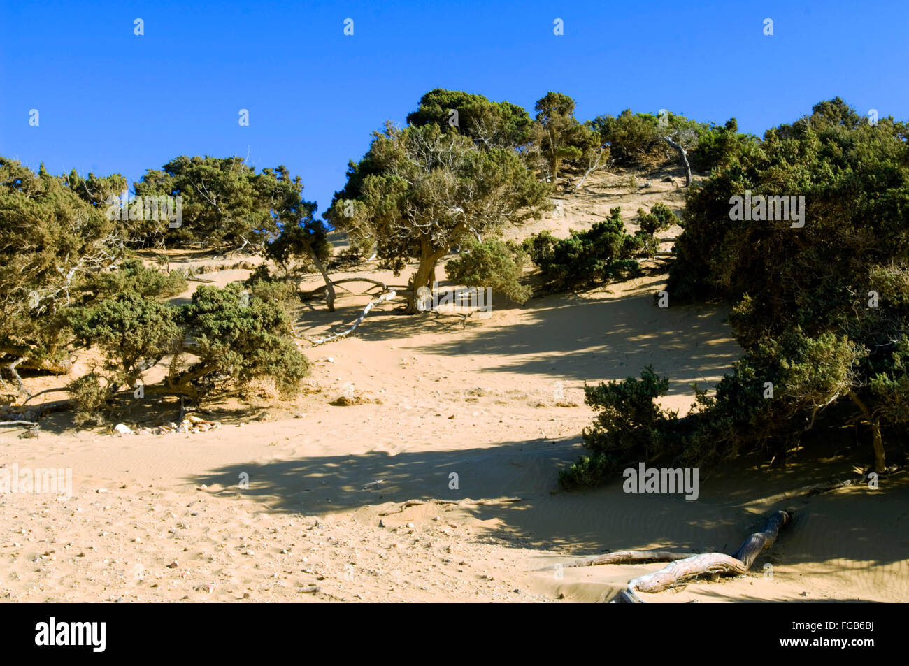 Griechenland, Kreta, Insel Gavdos, der Strand von Agio Ioannis. Stock Photo