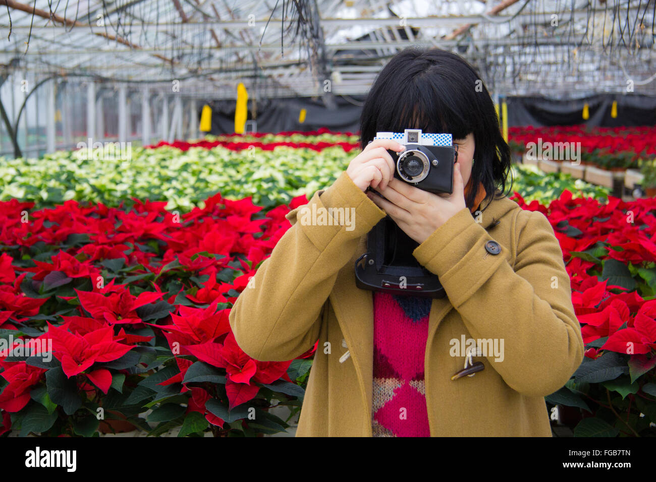 A woman takes a picture with a Diana lomography camera inside a greenhouse in Hellisheiðarvirkjun, Iceland, Stock Photo