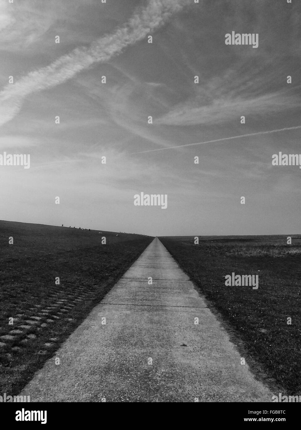 Surface Level Of Narrow Road Along Landscape Stock Photo Alamy