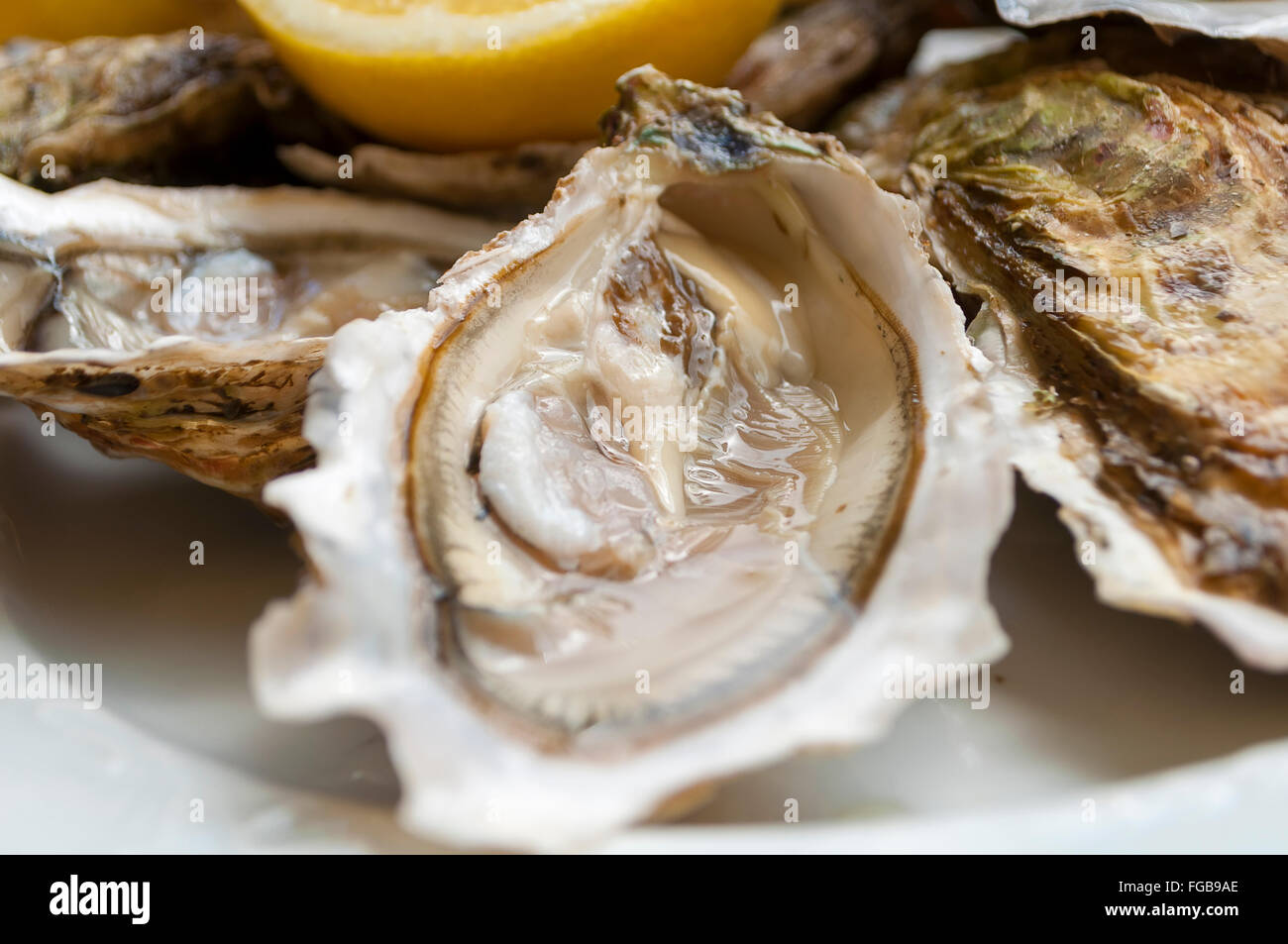 appetizing French oysters with lemon, delicious, really delicious, gourmet food Stock Photo
