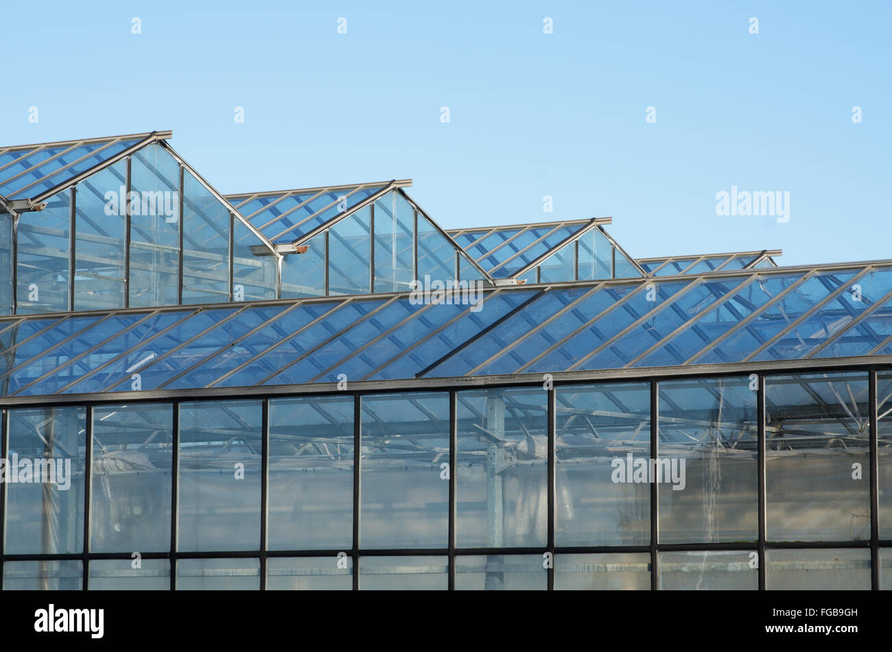 Roof of greenhouse with glass panels Stock Photo Alamy