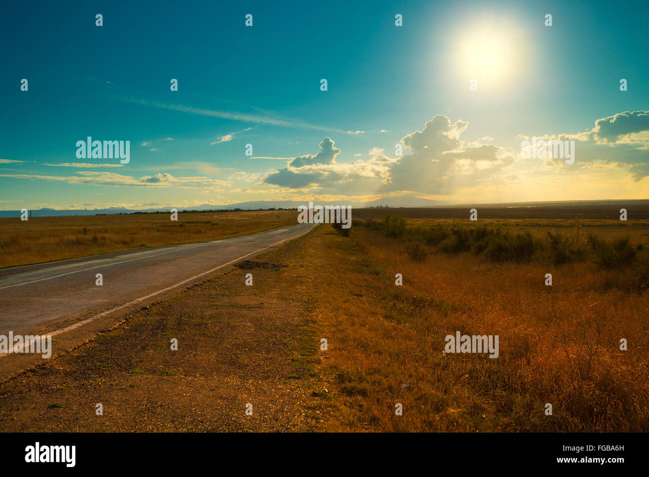 Asphalt road through the field to the sun Stock Photo - Alamy