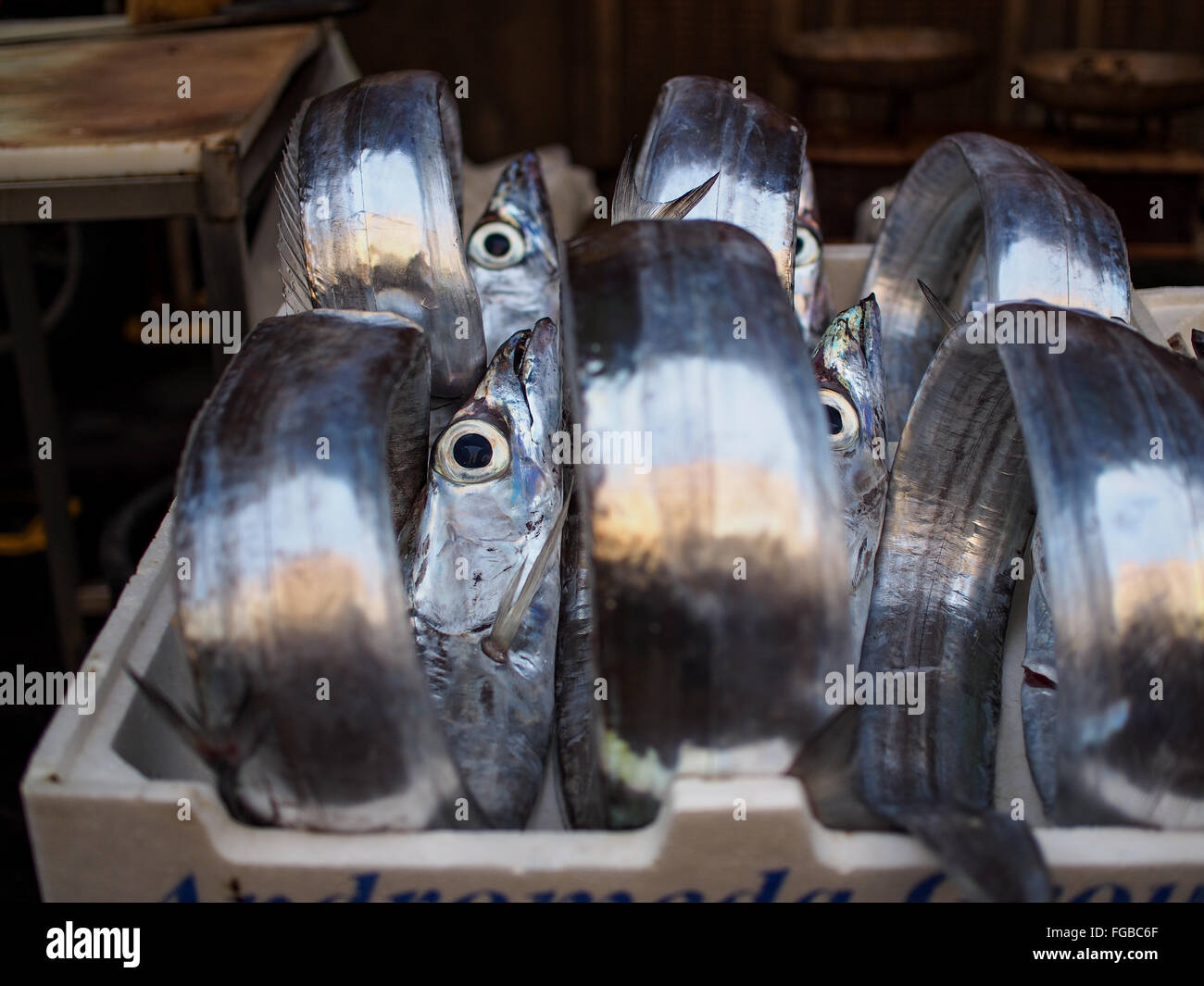 High Angle View Of Ribbonfishes In Crate For Sale At Fish Market Stock