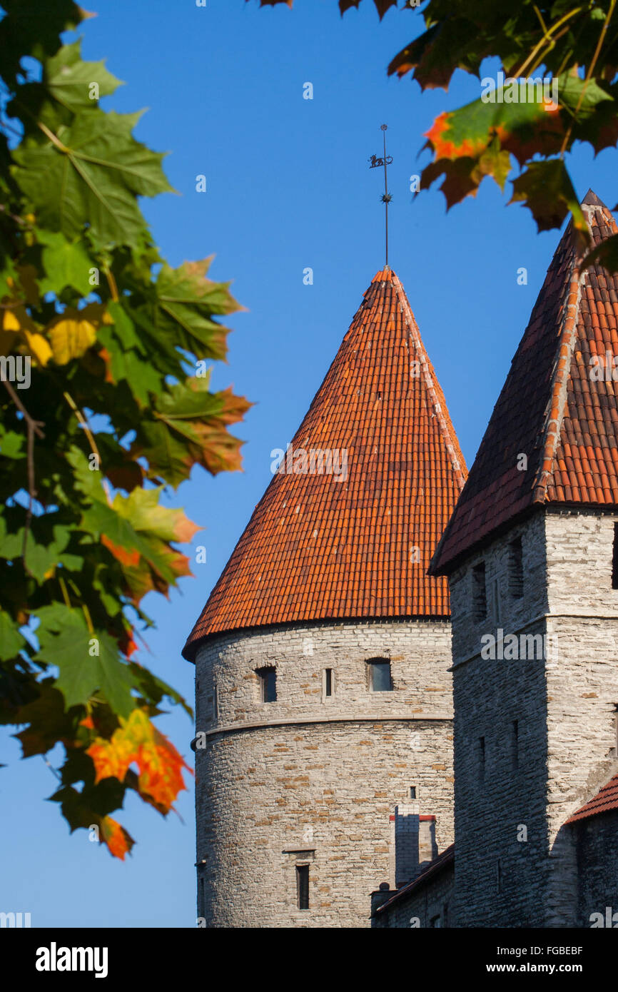 Medieval tower in the old city wall, Tallinn, Estonia Stock Photo