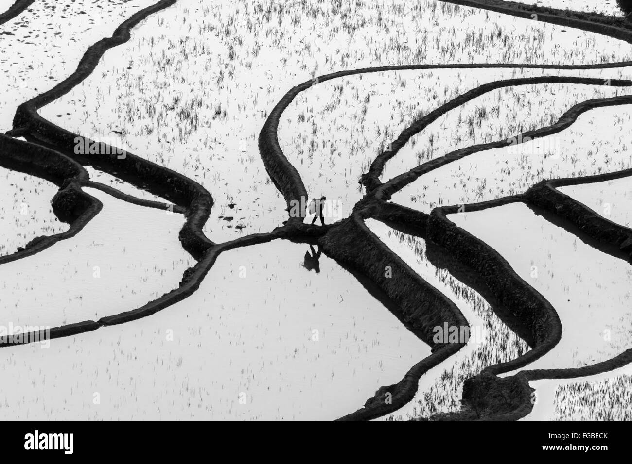 Integrated farming Black and White Stock Photos & Images - Alamy