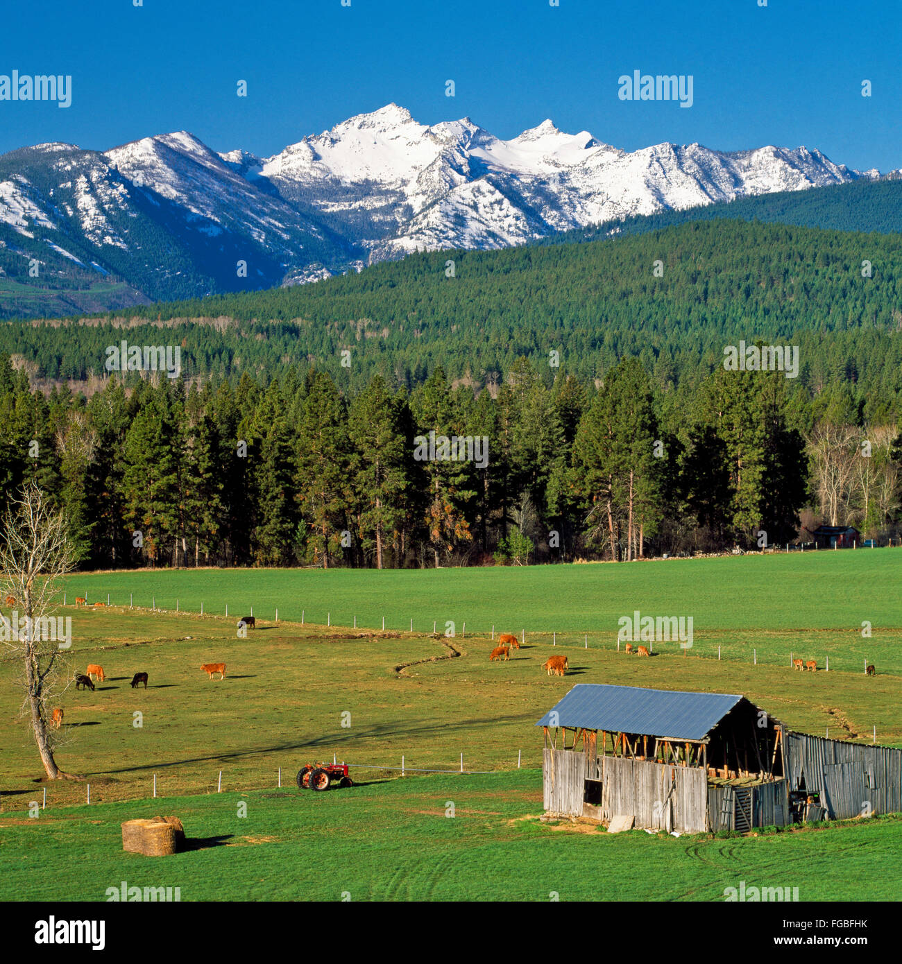 bitterroot mountains above ranch near darby, montana Stock Photo