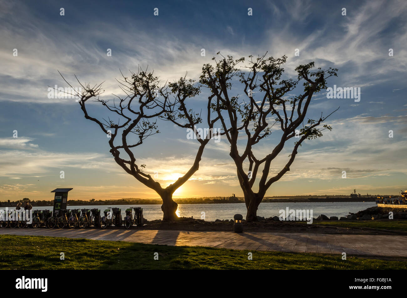 Silhouette of trees at sunset along the marina in San Diego Stock Photo