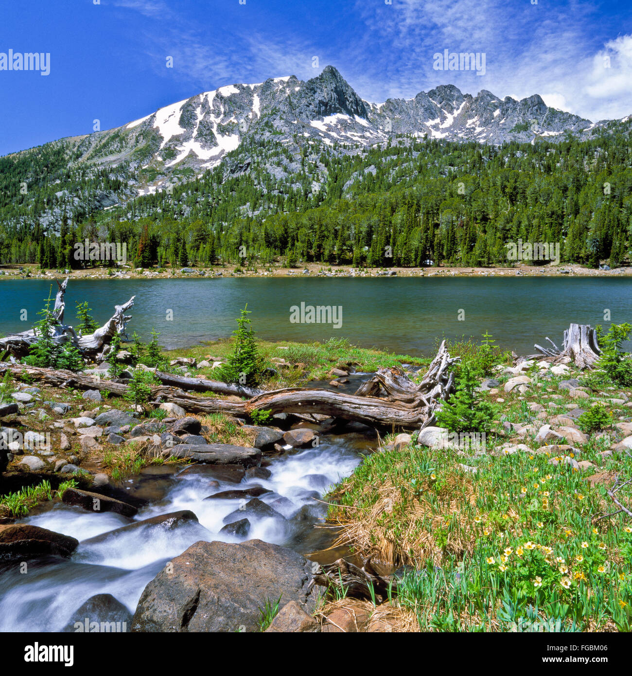 lower branham lake below leggat mountain in the tobacco root range near