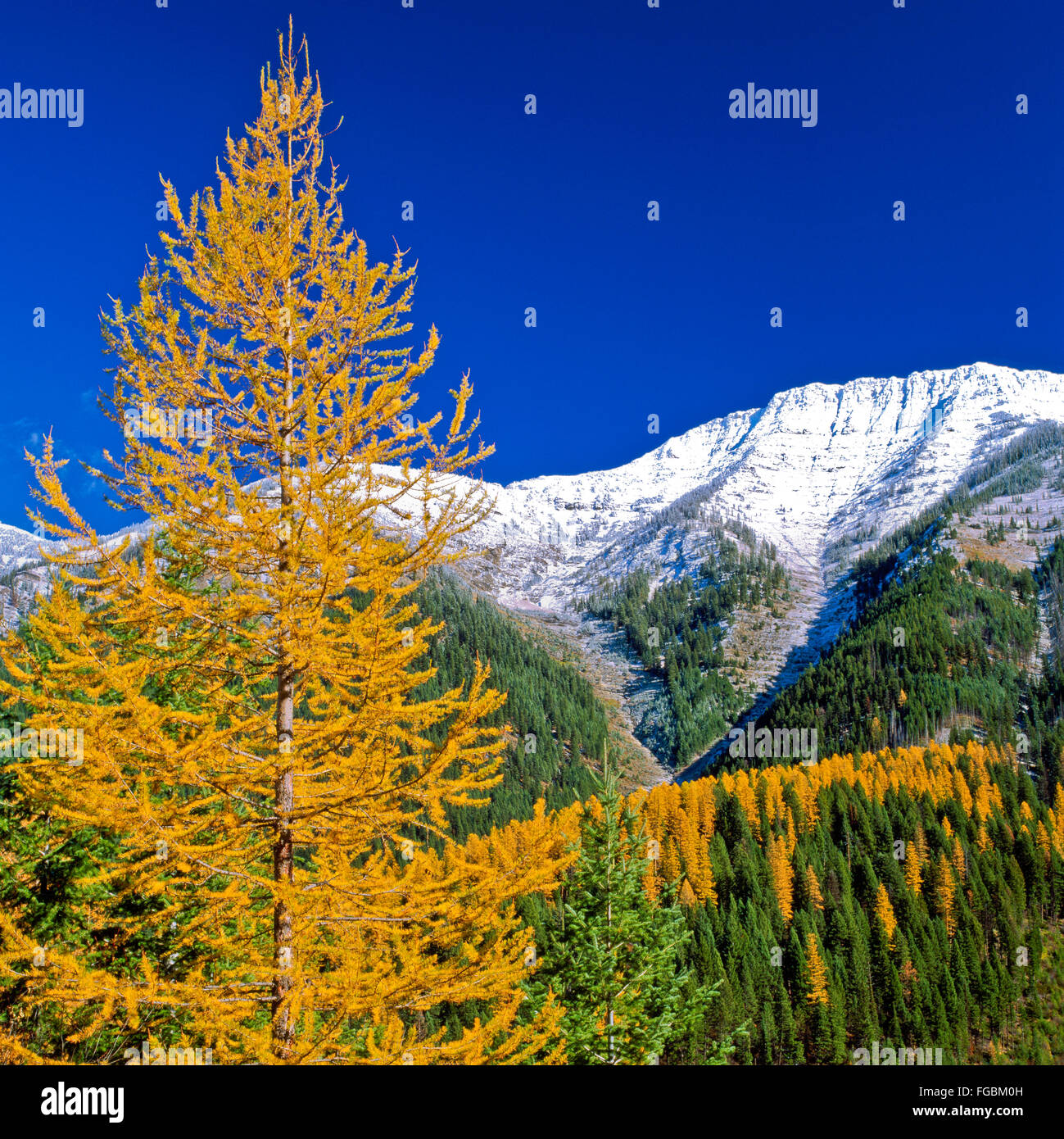 Clearwater river valley hires stock photography and images Alamy