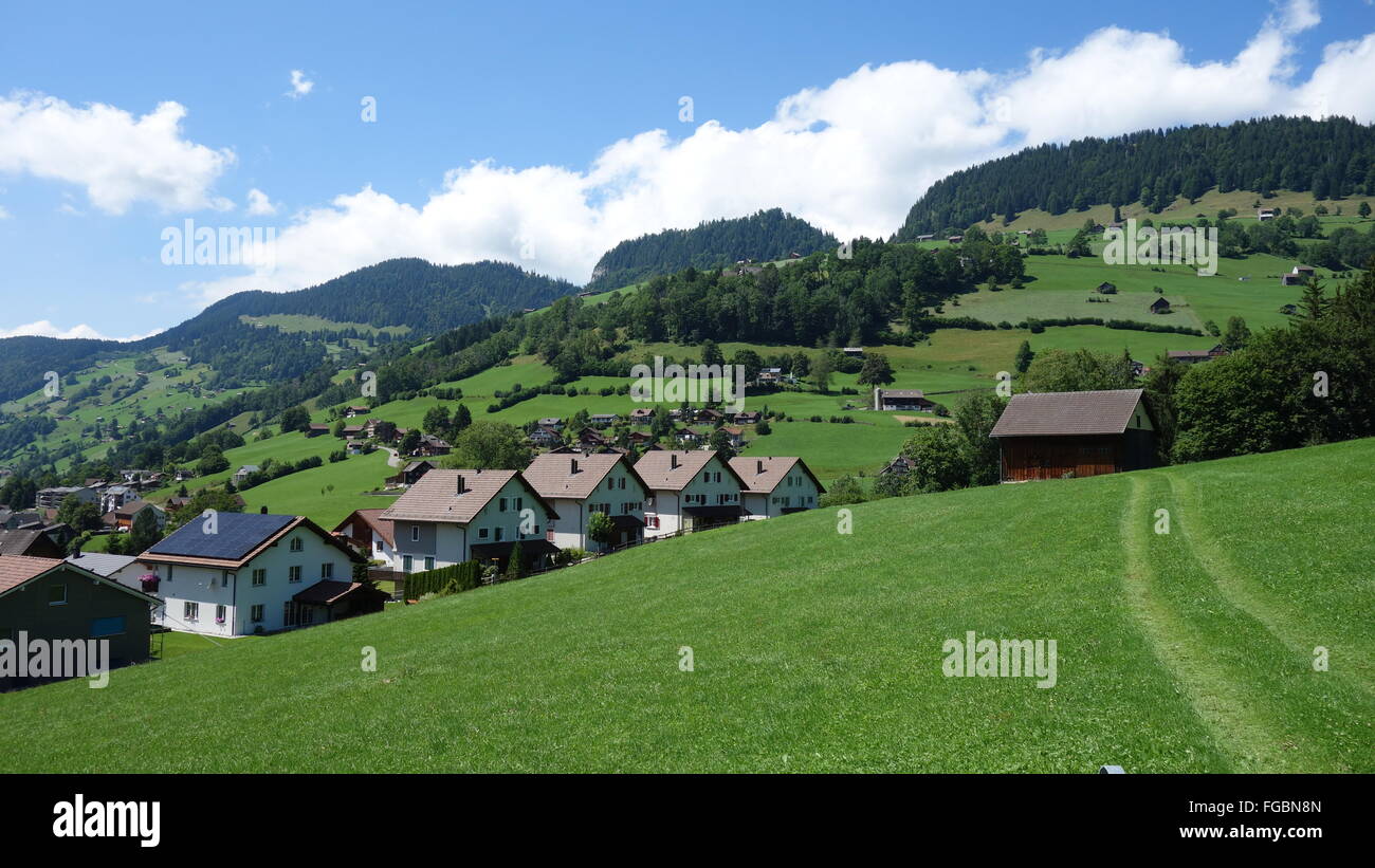 Green grass in Switzerland, close to St Gallen, 2015 Stock Photo