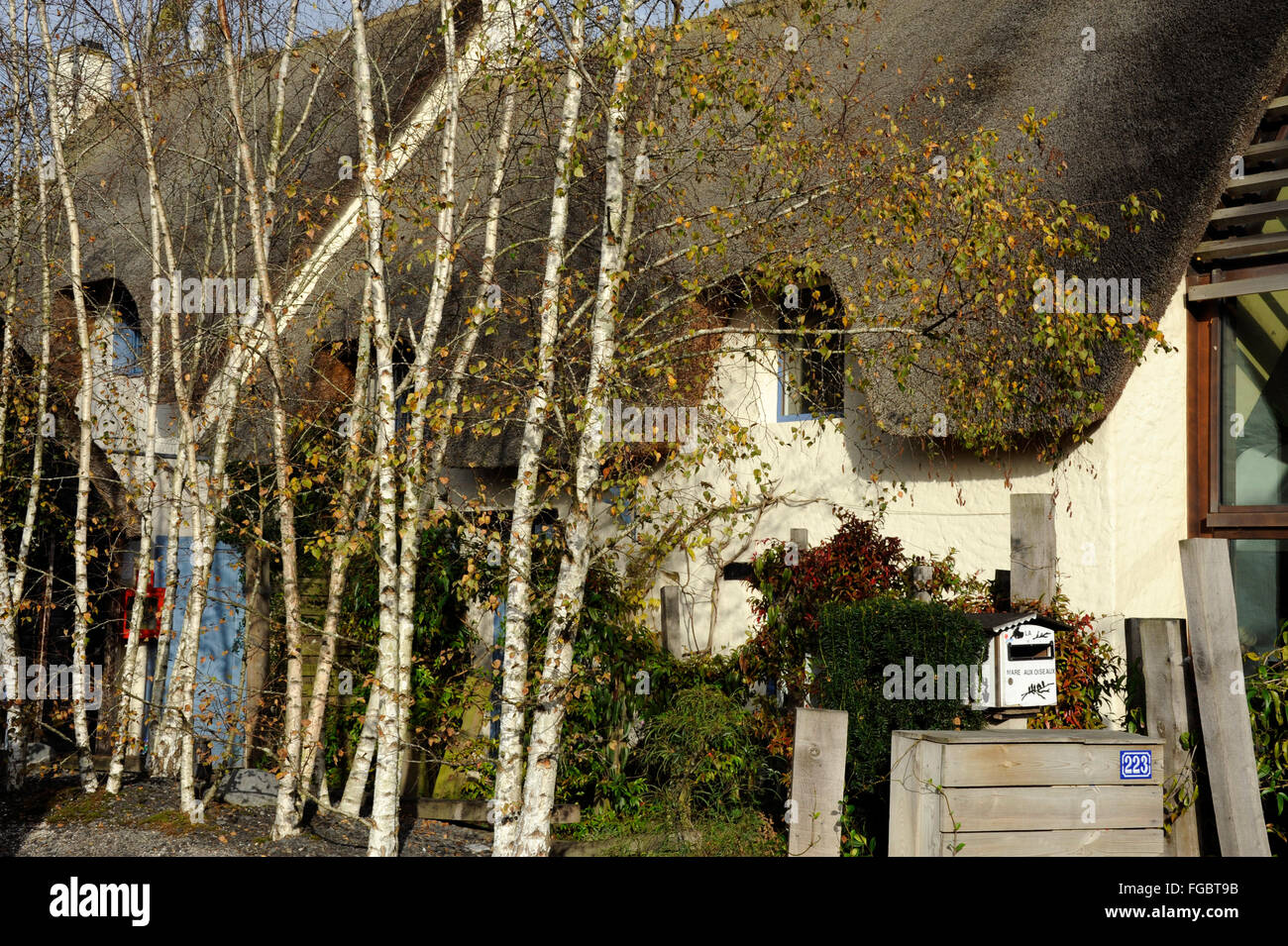 Hotel Restaurant La Mare Aux Oiseaux,Briere Regional Nature Park,Saint-Joachim,Loire-Atlantique,Pays de Loire,France Stock Photo