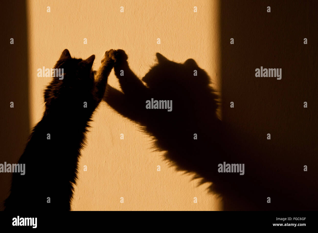 Funsilhouette hi-res stock photography and images - Alamy
