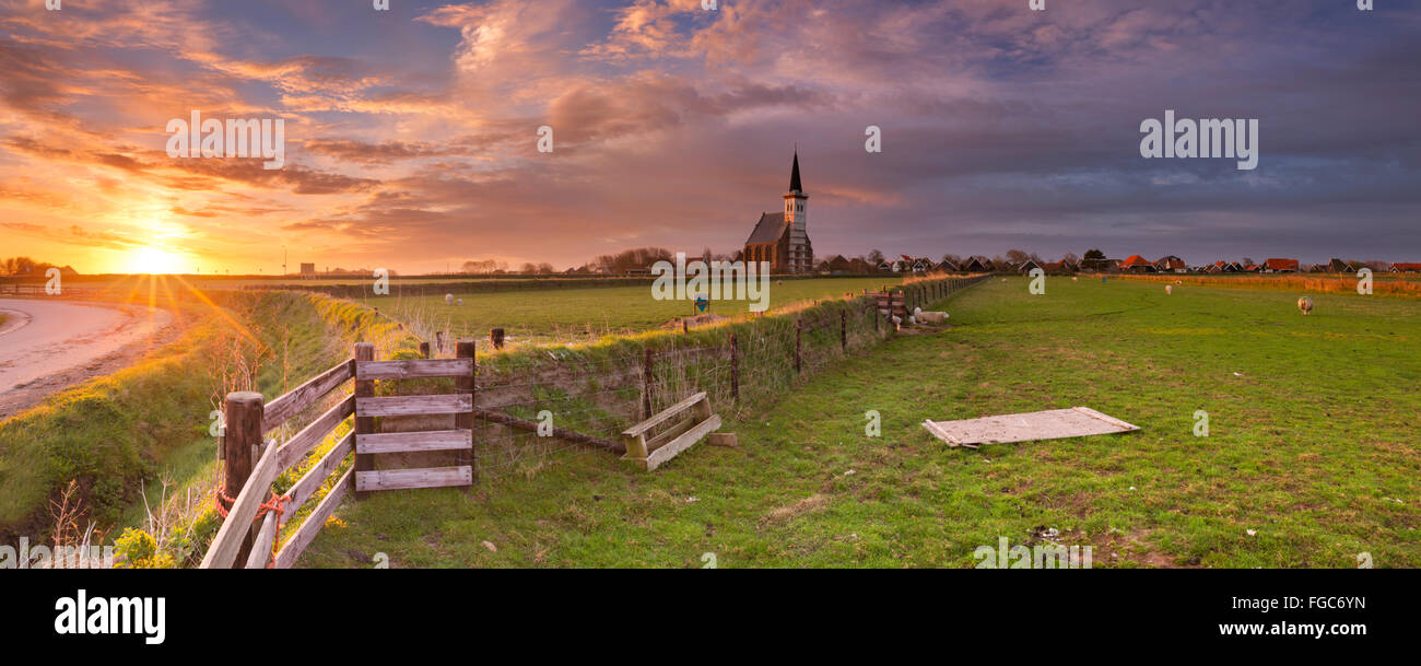 The church of Den Hoorn on the island of Texel in The Netherlands at sunrise. A field with sheep and little lambs in the front. Stock Photo