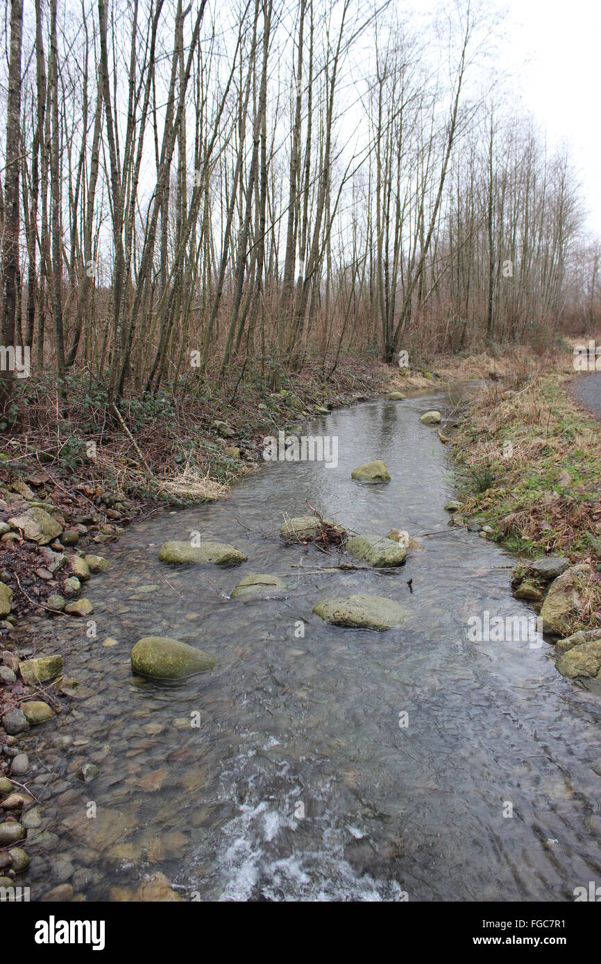 Pebbles in stream hi-res stock photography and images - Alamy