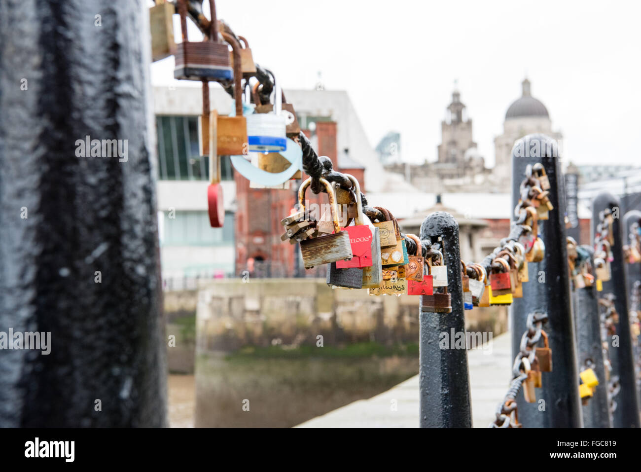 Padlocks at Pier Head, Liverpool with the Liver Building in the