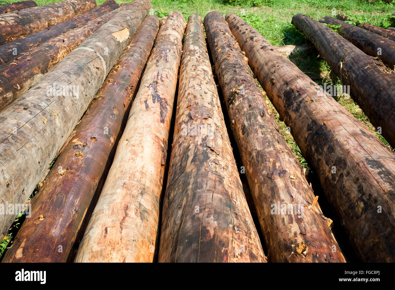 Cottage Industry Ideas Stock Photos Cottage Industry Ideas Stock