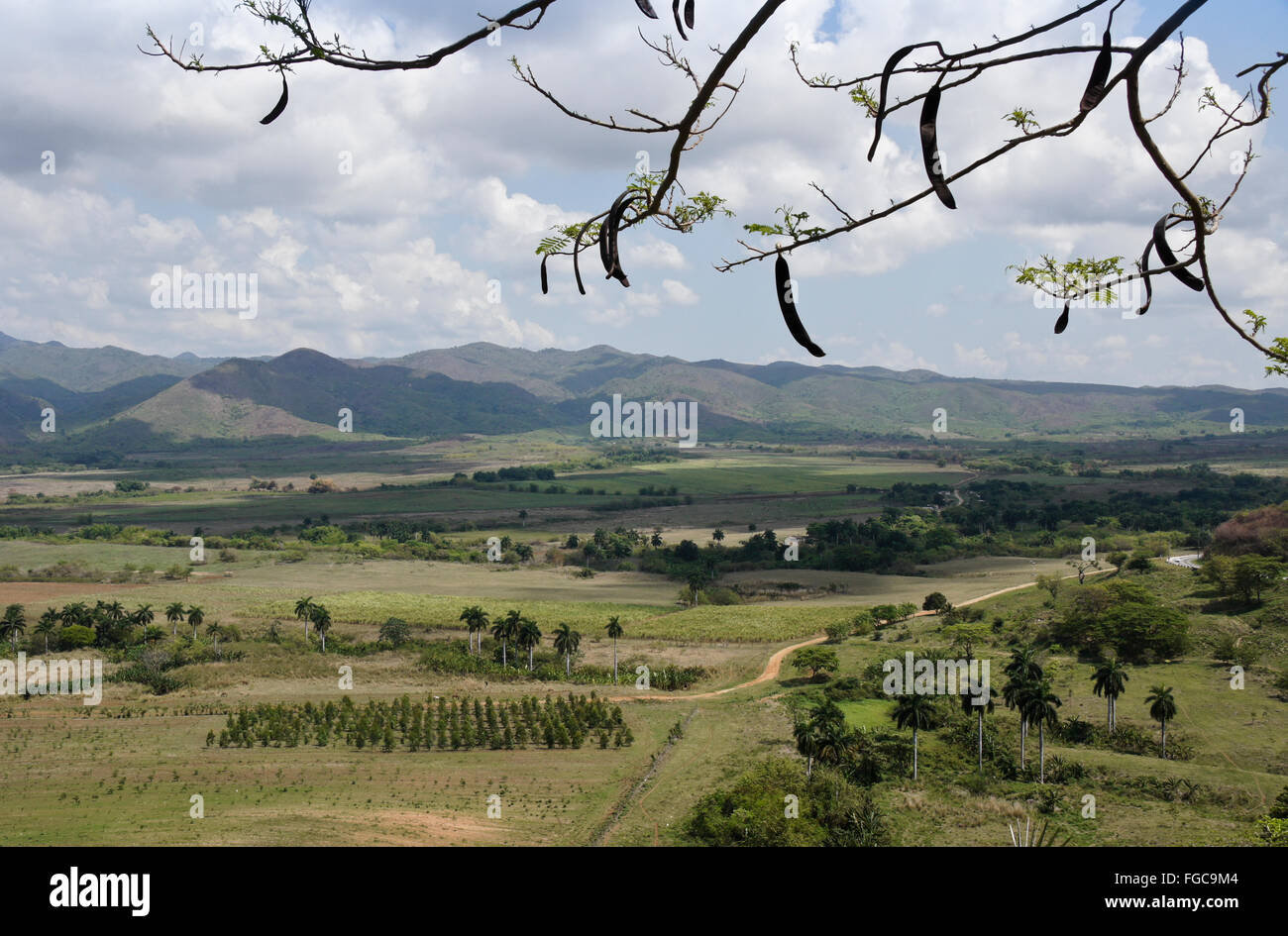 View of Valle de Los Ingenios (Valley of the Sugar Mills) from the Mirador de la Loma del Puerto, Trinidad, Cuba Stock Photo