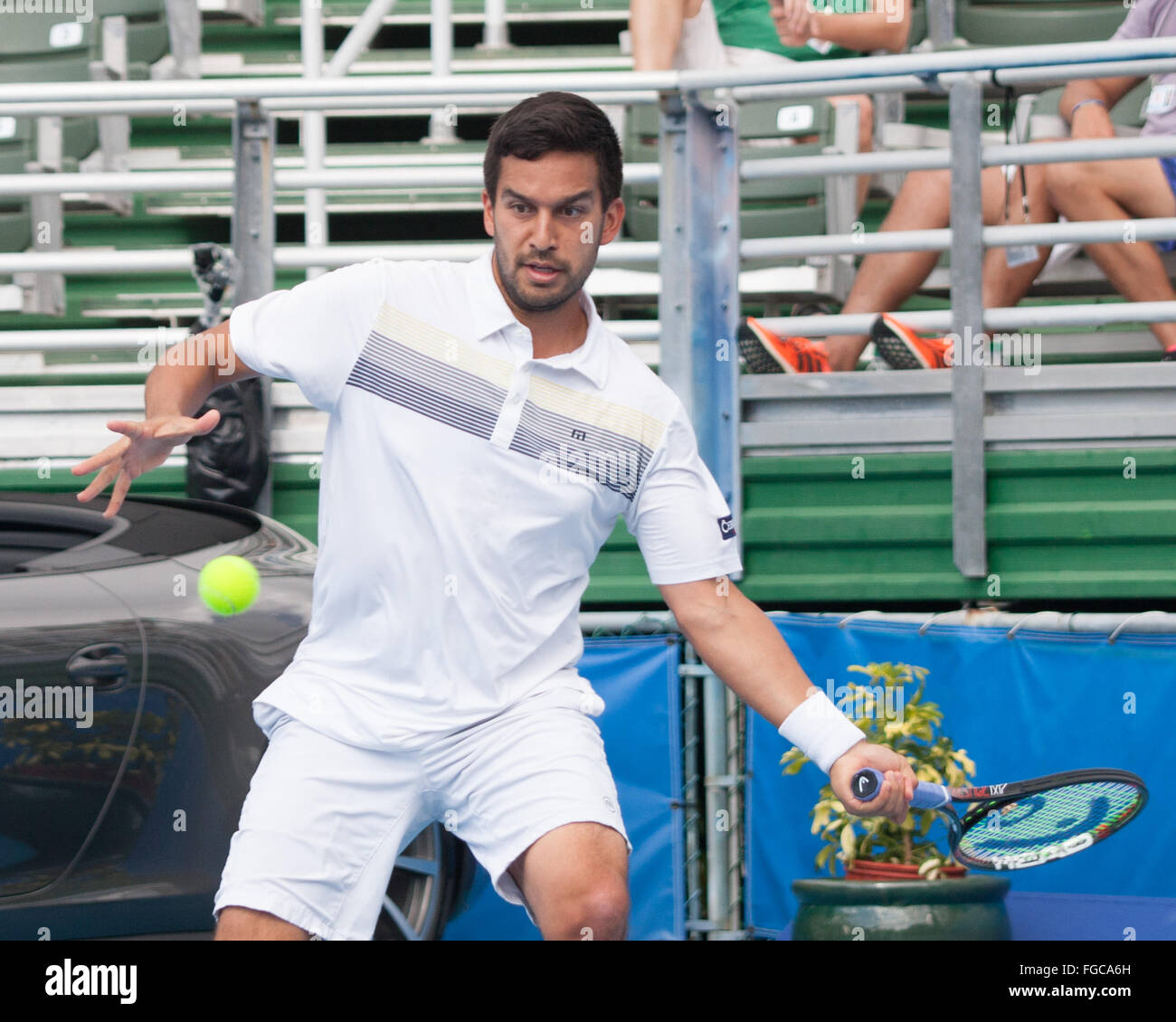 Delray Beach, Florida, US. 18th Feb, 2016. TREAT HUEY Filipino-American pro tennis player. The Filipino-Belarusian third seed duo TREAT HUEY and MAX MIRNYI are through to the ATP World Tour Delray Beach Open semi-finals after a 6-3, 6-4 triumph over Australians Chris Guccione and Bernard Tomic. Credit:  Arnold Drapkin/ZUMA Wire/Alamy Live News Stock Photo