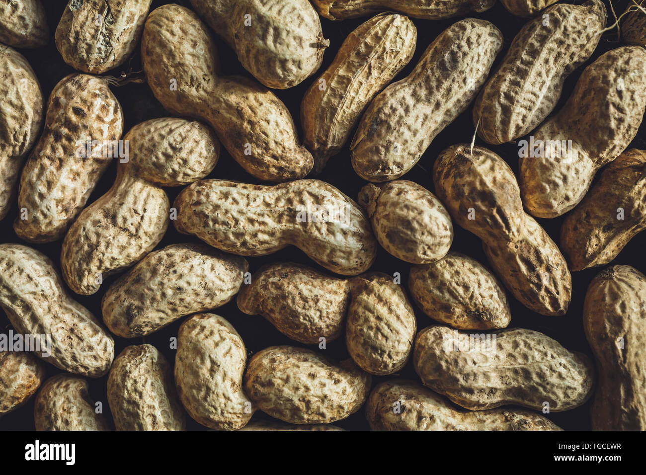Fresh peanuts in shell Stock Photo Alamy