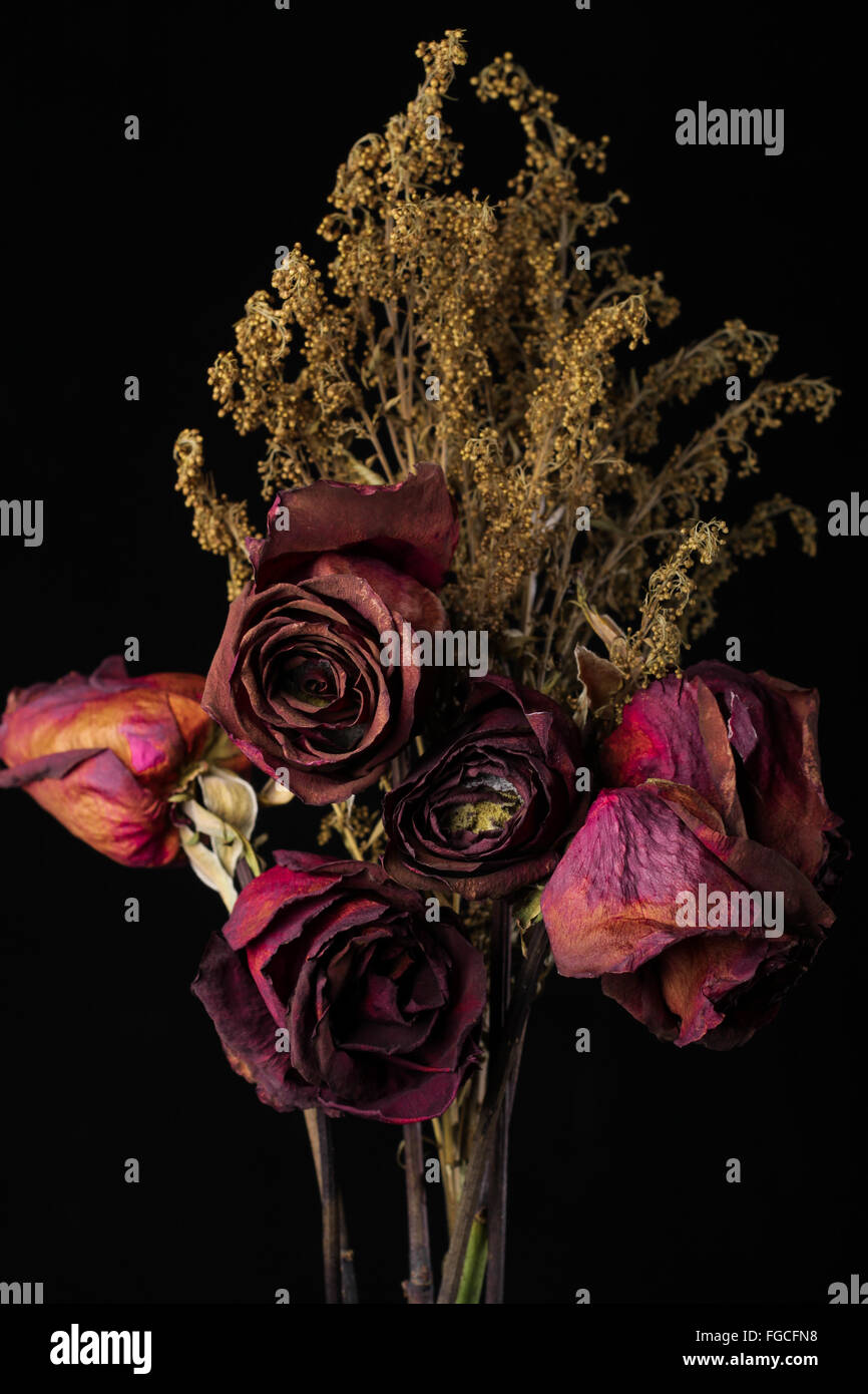 Red Dried Roses In A Glass Jar On Black Background Stock Photo Alamy