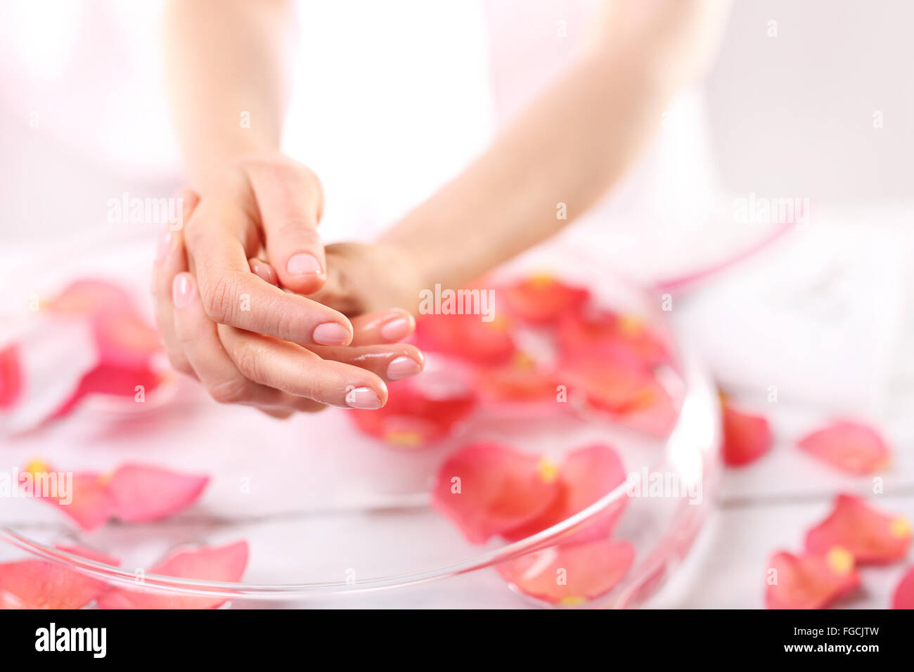 Care treatment of hands and nails woman hands over the bowl with rose petals. Hands women, rose bath nursing. Stock Photo