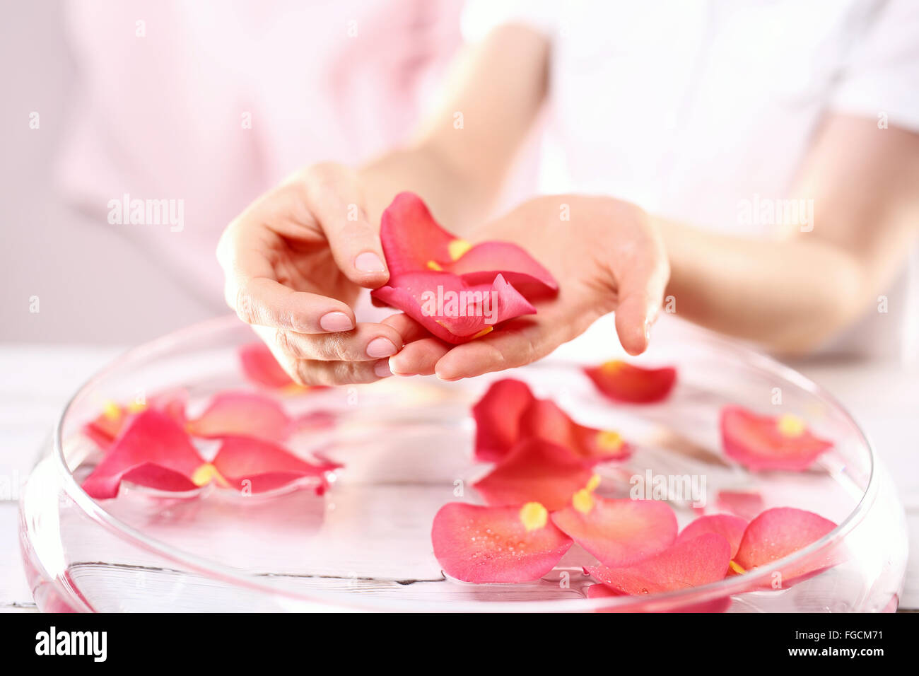Care treatment of hands and nails woman hands over the bowl with rose petals. Hands women, rose bath nursing. Stock Photo