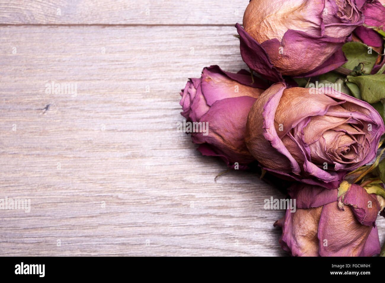 Dead roses on vintage wooden background in studio photo Stock Photo - Alamy