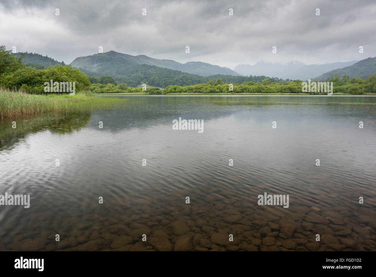 Elter Water with view towards Langdale, Cumbria. Stock Photo