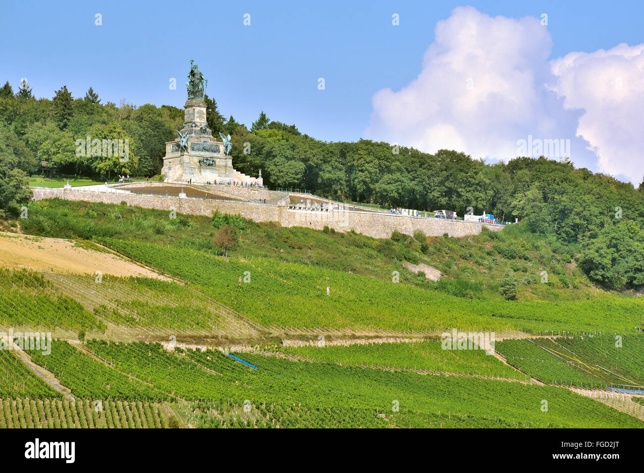 The Niederwalddenkmal above the vineyards of Ruedesheim, with the heroic statue of Germania, Upper Middle Rhine Valley, Germany Stock Photo