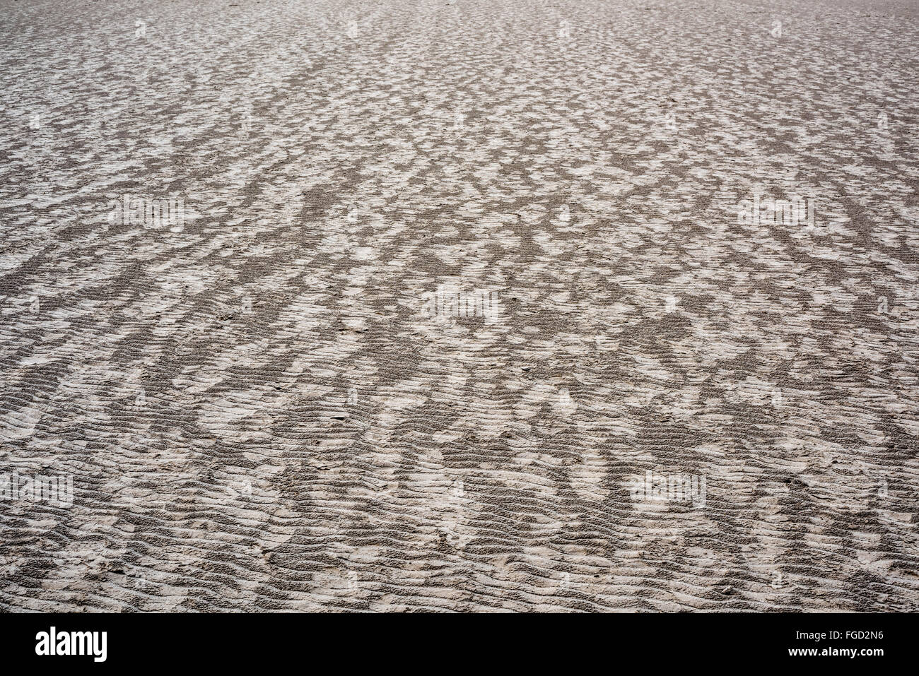 Footprints of walker crossing morecambe Bay, Cumbria Stock Photo Alamy