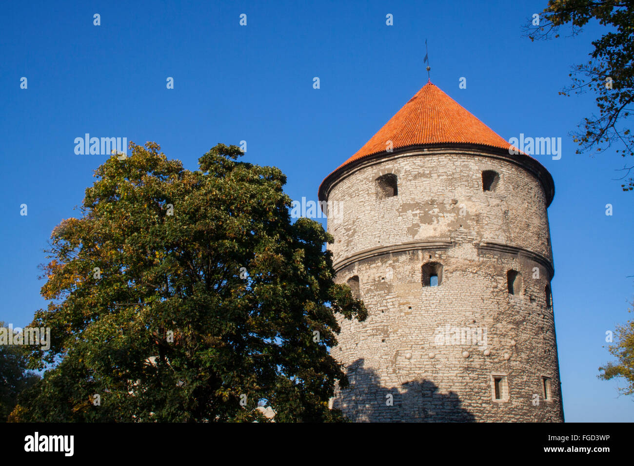 Kiek in de Kök cannon tower, Tallinn, Estonia Stock Photo