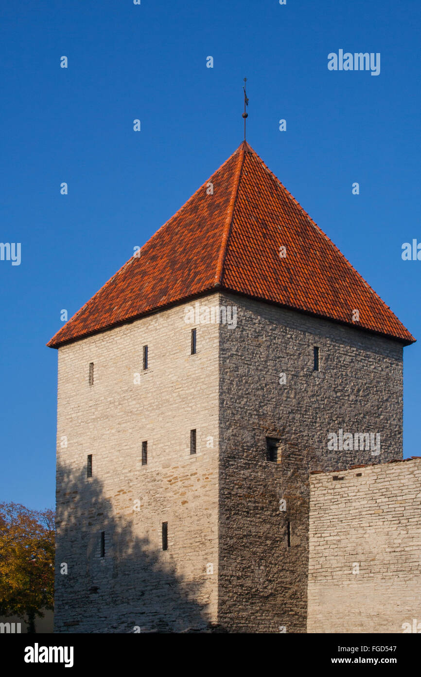 Neitsitorn Maiden's Tower, Tallinn, Estonia Stock Photo