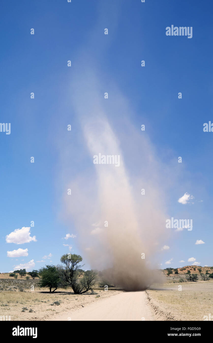 'Dust Devil' whirlwind crossing sand road in semi-desert, Kalahari Gemsbok N.P., Kgalagadi Transfrontier Park, Northern Cape, South Africa, December Stock Photo