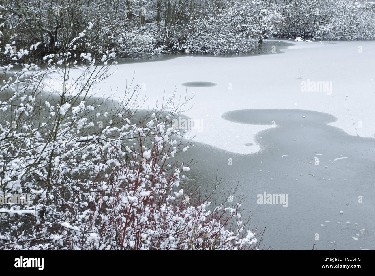 Frozen lake and snowfall in parkland, Golden Acre Park, Leeds, West Yorkshire, England, January Stock Photo