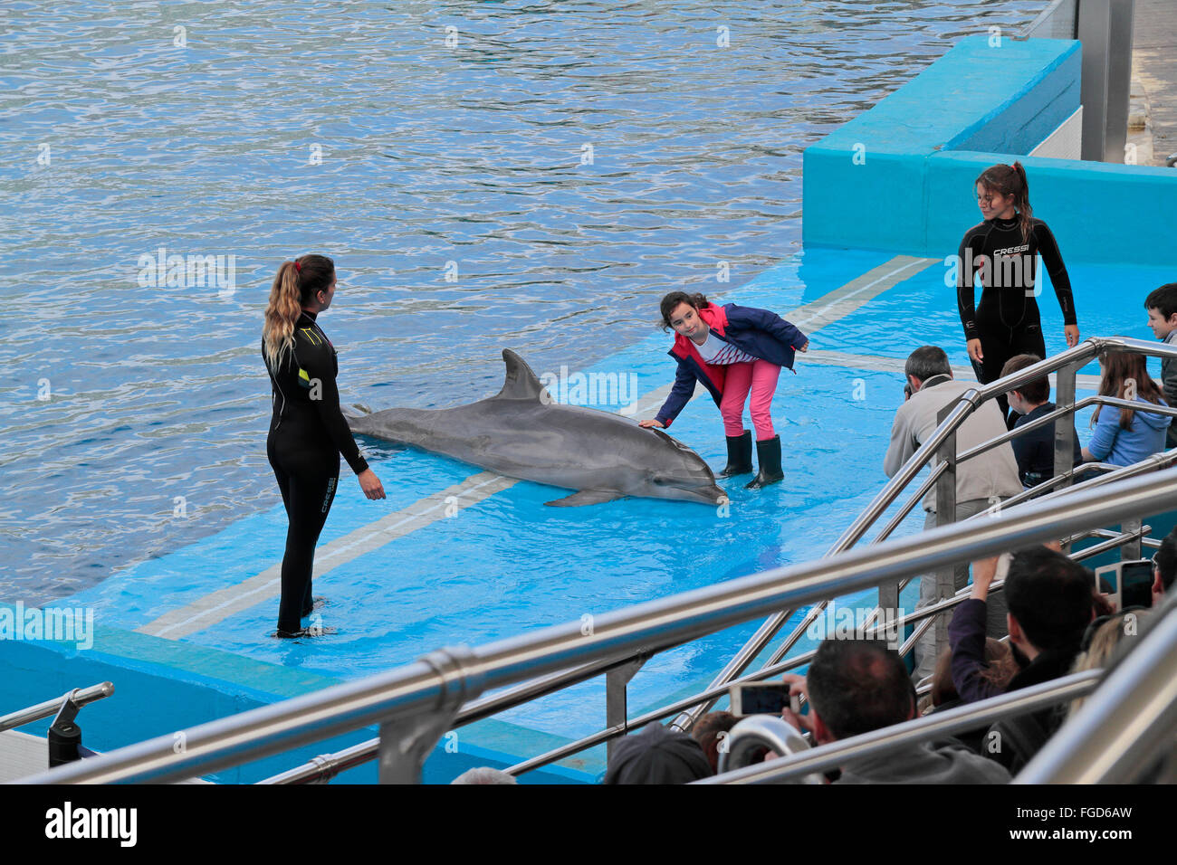 A child feeding a beached dolphin during a dolphin show in the Dolphinarium, L'Oceanogràfic, Valencia, Spain. Stock Photo