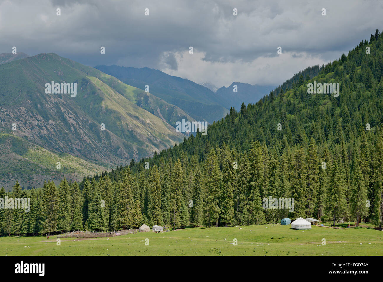 Yurt (a felted nomad tent) at summer pasture in Tian Shan mountain range, Kyrgyzstan. Stock Photo