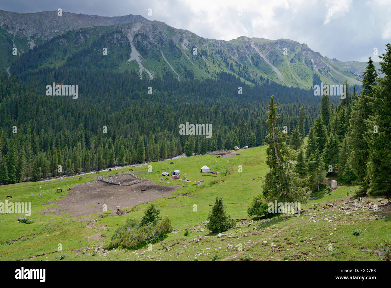 Yurt (a felted nomad tent) at summer pasture in Tian Shan mountain range, Kyrgyzstan. Stock Photo