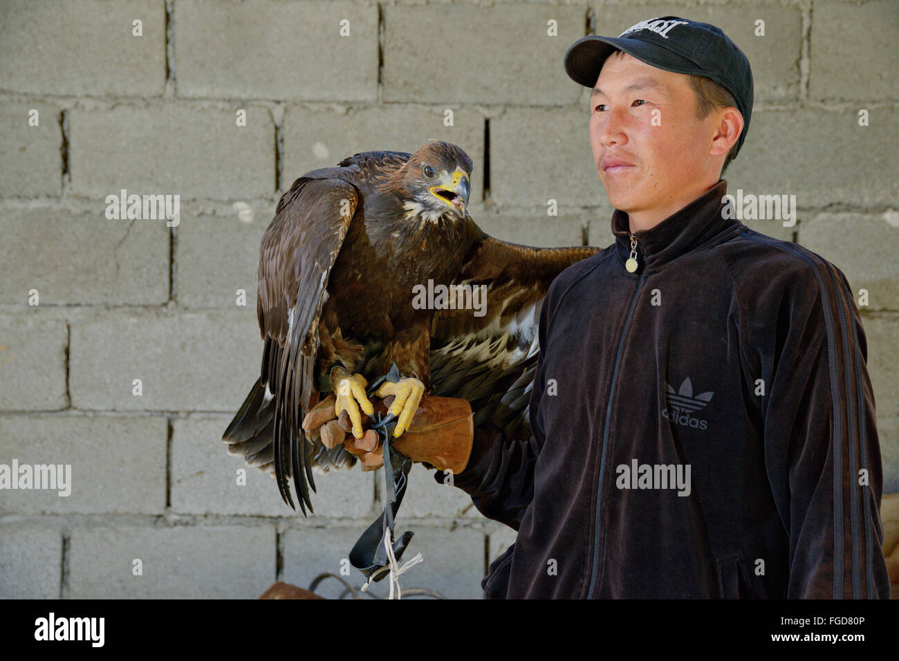 Kyrgyz man with a trained golden eagle. Stock Photo