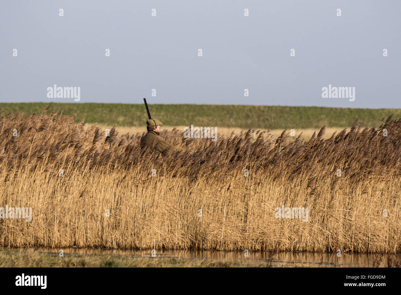 Wildfowling on Deepdale Marsh Stock Photo