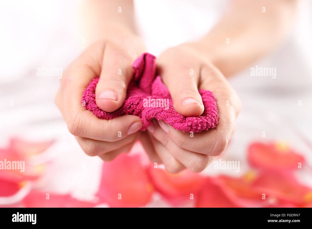 Care treatment of hands and nails woman hands over the bowl with rose petals. Hands women, rose bath nursing Stock Photo