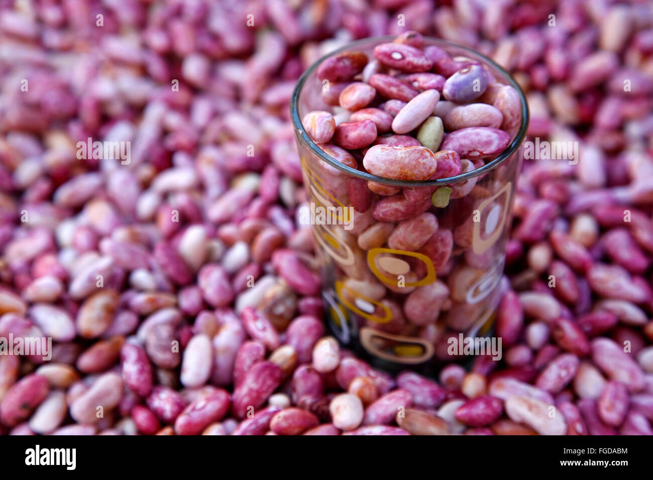 A closeup of dry great pink beans Stock Photo Alamy
