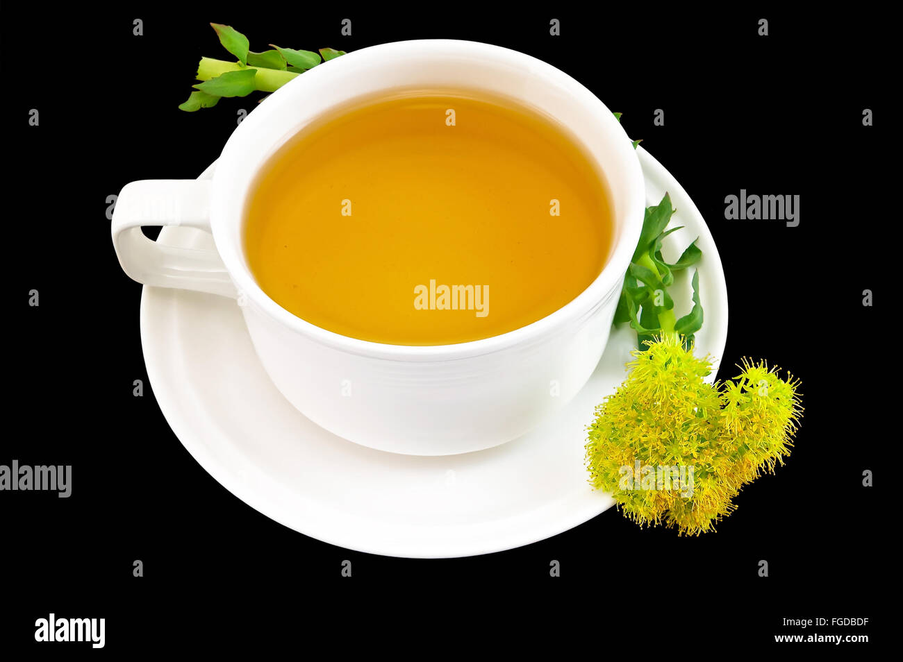 Herbal tea with flower golden root Stock Photo