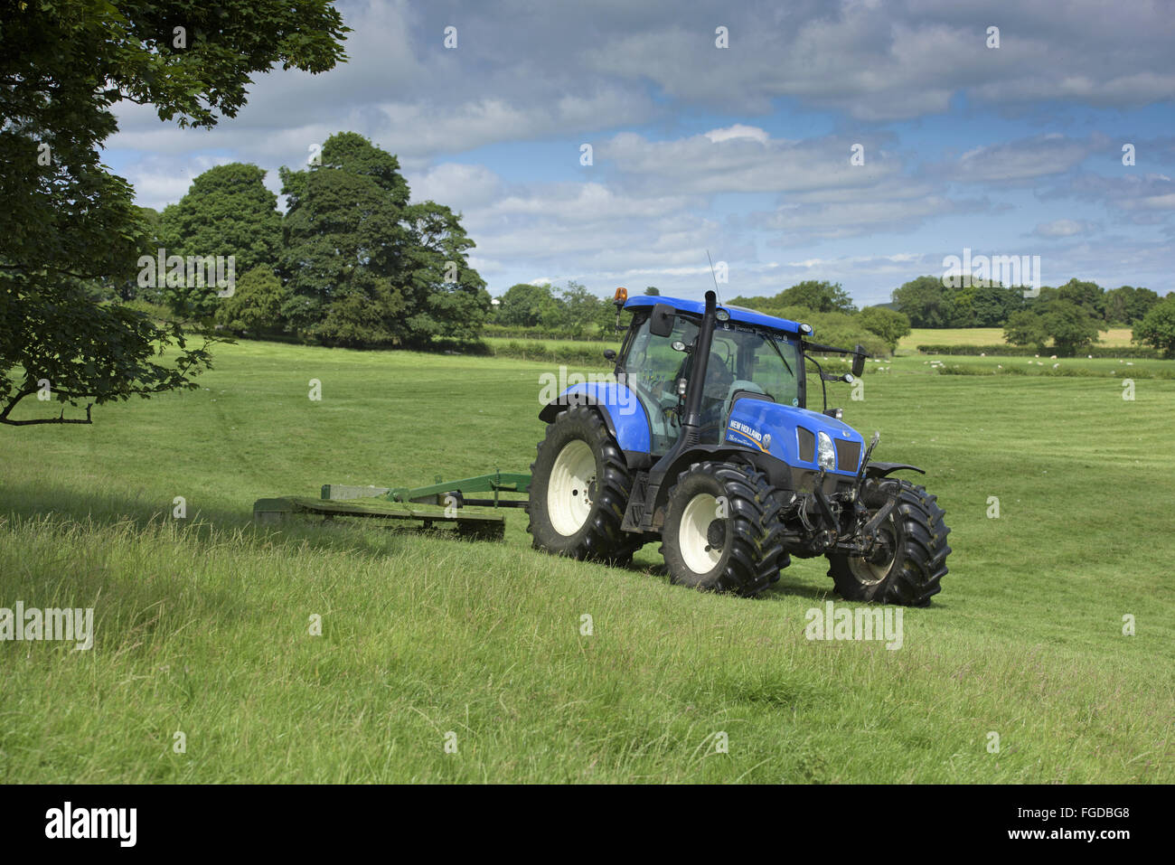 New Holland T6.175 tractor with topper, topping grass in parkland, Leagram, Chipping, Forest of Bowland, Lancashire, England, July Stock Photo