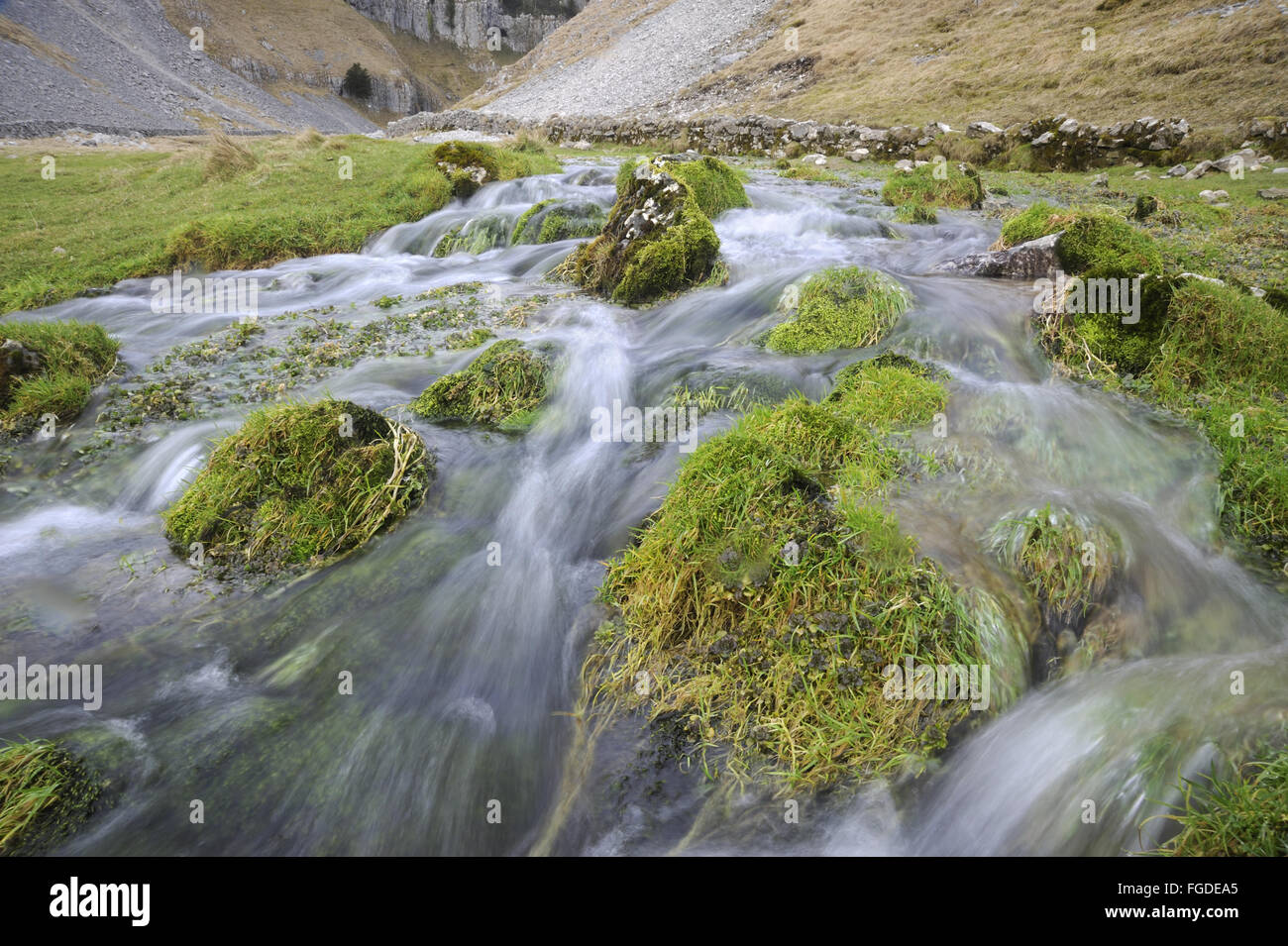 Stream flowing through limestone ravine (glacial channel) along valley bottom with moss and grass covered boulders, Gordale Beck, Gordale Scar, Malhamdale, Yorkshire Dales N.P., North Yorkshire, England, February Stock Photo