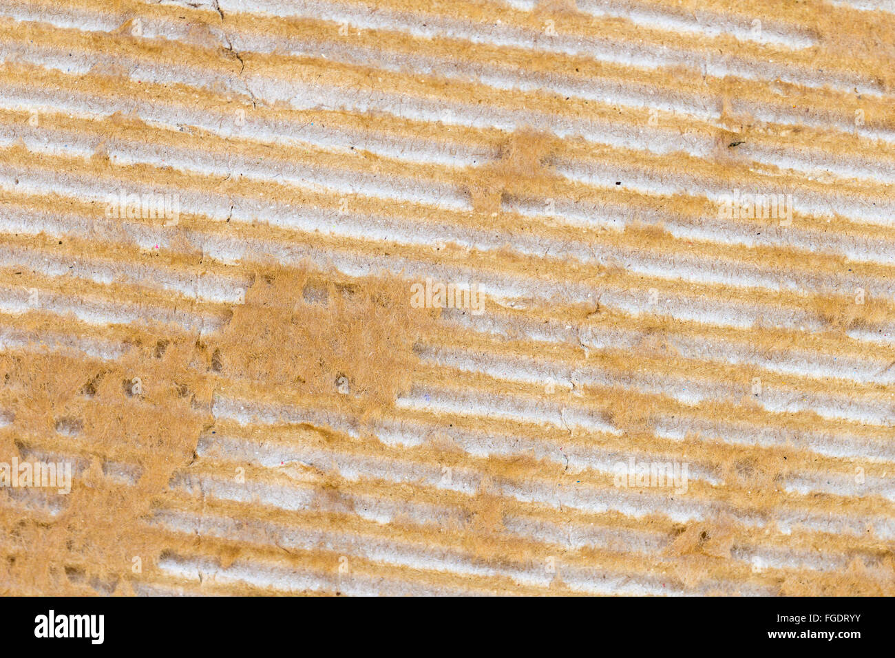 Torn cardboard sheet, brown paper box texture macro Stock Photo
