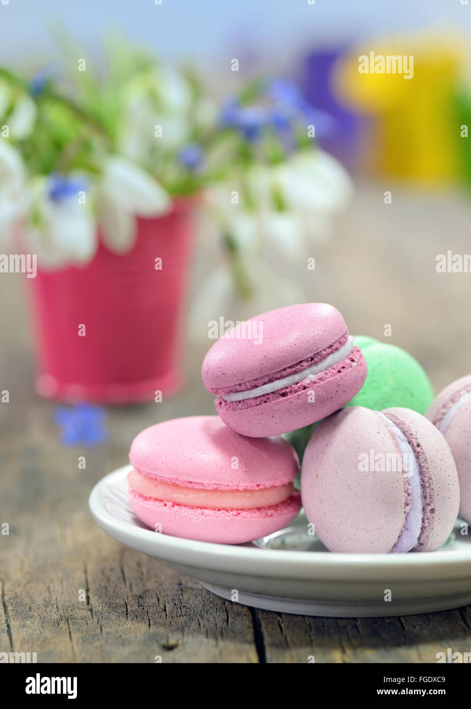 vintage still life with macaroons and spring flowers Stock Photo