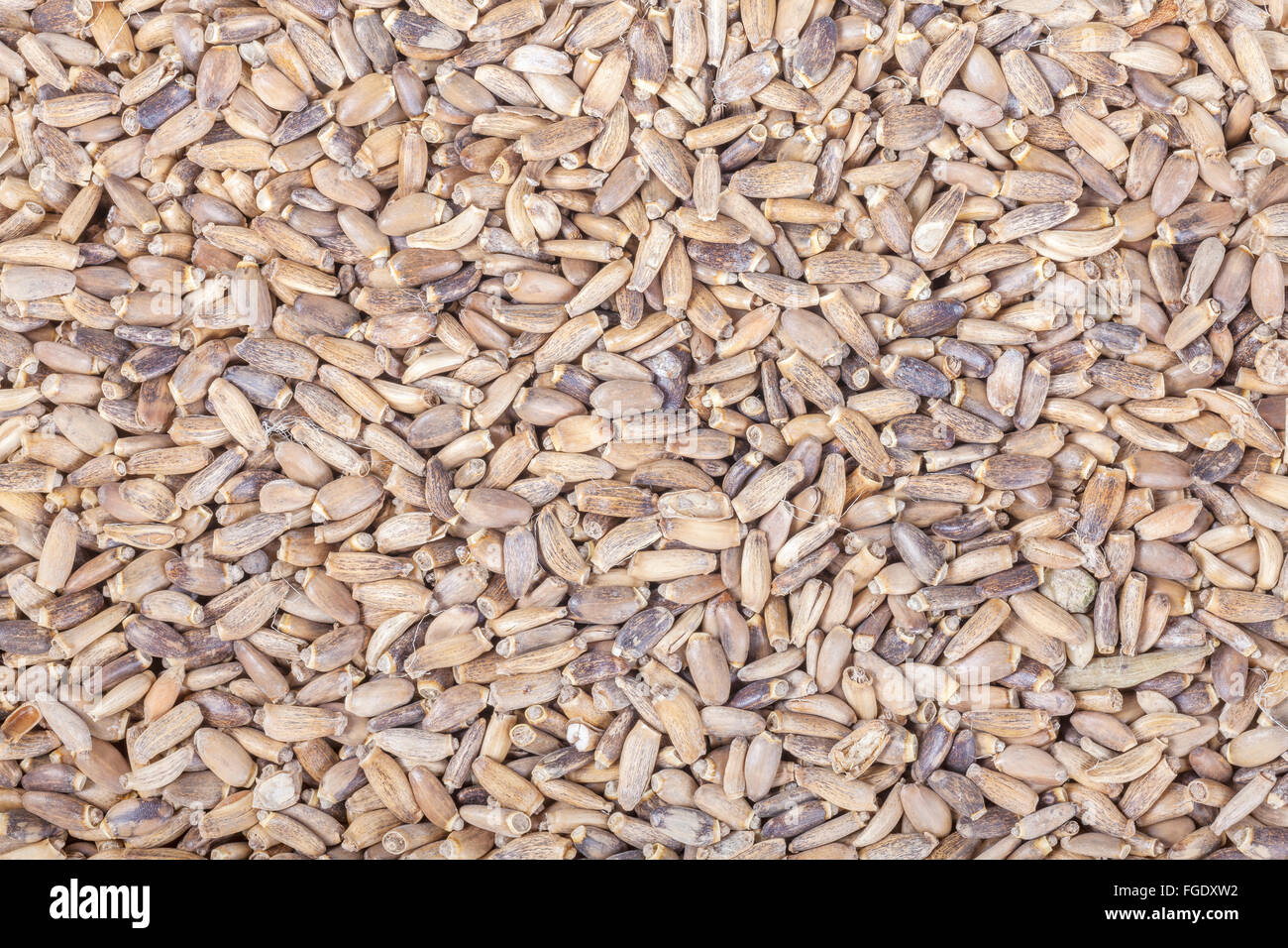 Close up picture of milk thistle seeds, food background. Stock Photo