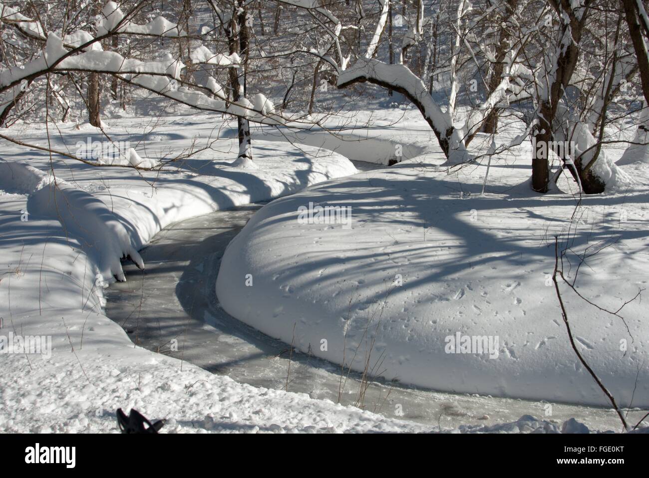 A small stream takes on the appearance of a serpentine canyon after 'Snowmageddon 2016' Stock Photo