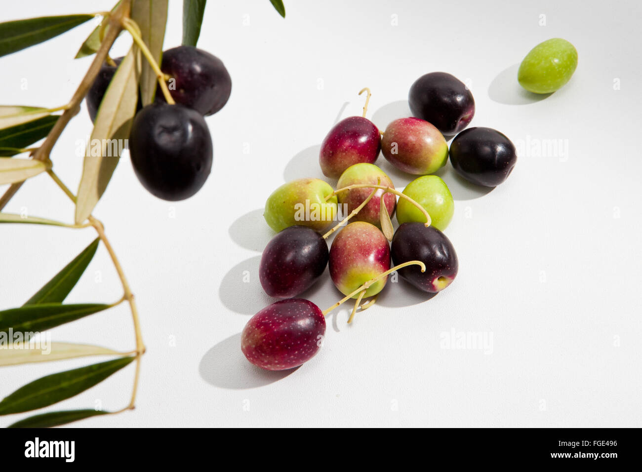 Fresh olives in extra virgin olive oil Stock Photo Alamy