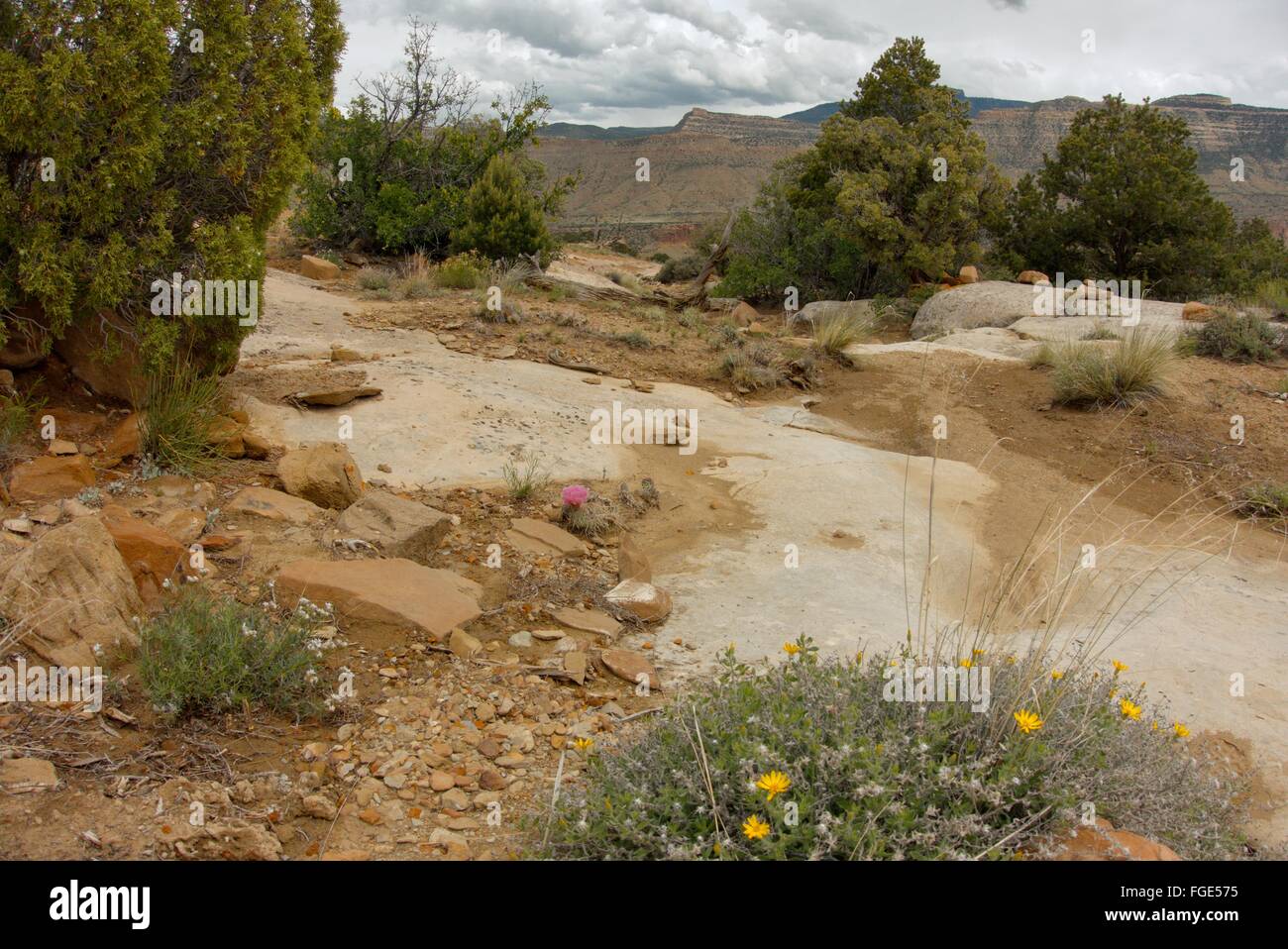 The Book Cliffs: Western Colorado's High Desert in Spring Stock Photo ...